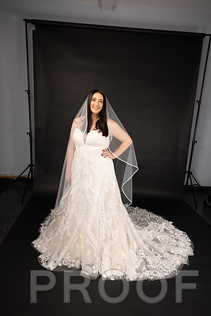2025 Abbey Buschy Bridal Portrait-20450