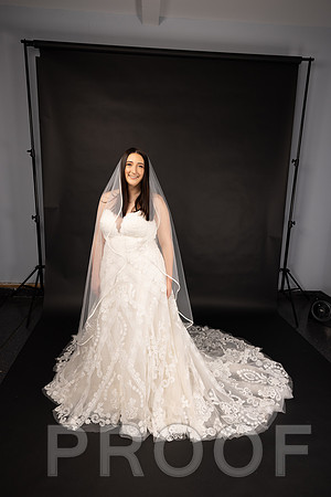 2025 Abbey Buschy Bridal Portrait-20452