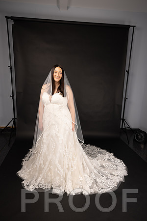 2025 Abbey Buschy Bridal Portrait-20453
