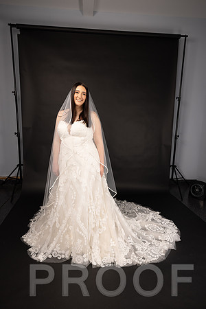 2025 Abbey Buschy Bridal Portrait-20455