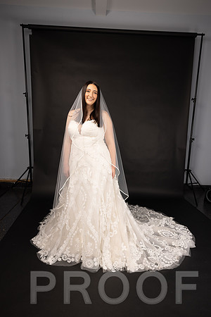 2025 Abbey Buschy Bridal Portrait-20456