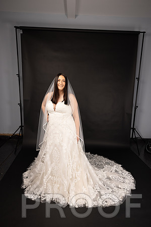 2025 Abbey Buschy Bridal Portrait-20457