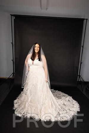 2025 Abbey Buschy Bridal Portrait-20458