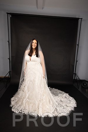 2025 Abbey Buschy Bridal Portrait-20461