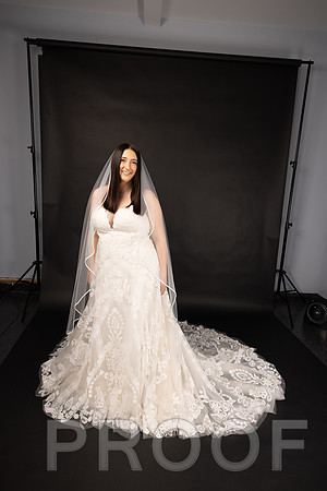 2025 Abbey Buschy Bridal Portrait-20462