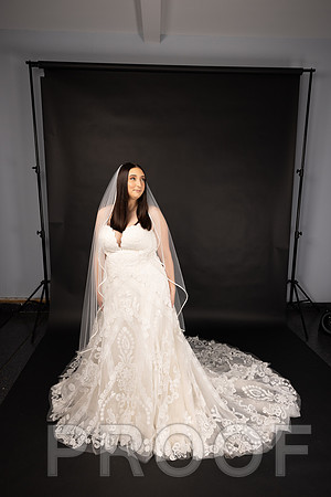 2025 Abbey Buschy Bridal Portrait-20464