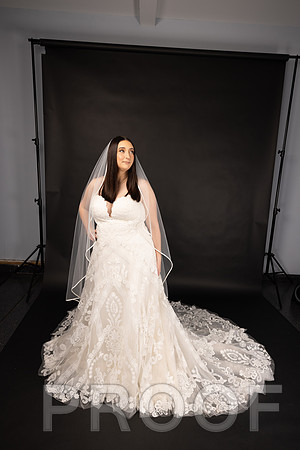 2025 Abbey Buschy Bridal Portrait-20466