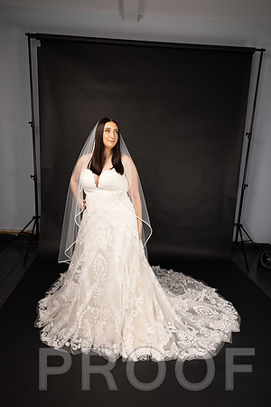 2025 Abbey Buschy Bridal Portrait-20467
