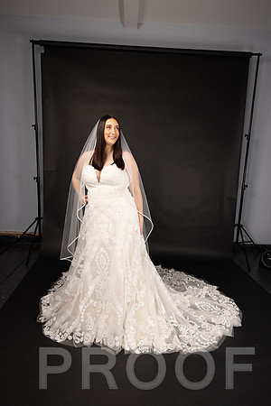 2025 Abbey Buschy Bridal Portrait-20468