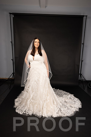 2025 Abbey Buschy Bridal Portrait-20471