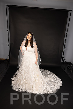 2025 Abbey Buschy Bridal Portrait-20472