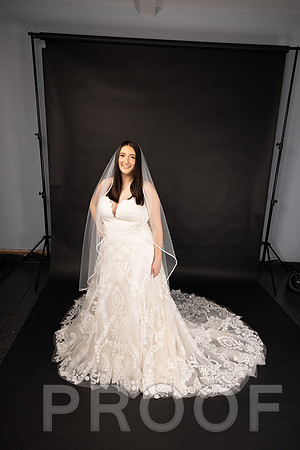 2025 Abbey Buschy Bridal Portrait-20473