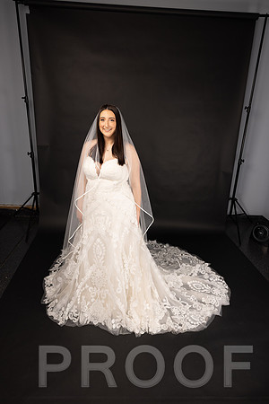 2025 Abbey Buschy Bridal Portrait-20474