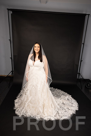 2025 Abbey Buschy Bridal Portrait-20475