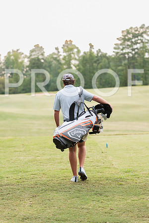 BL7A3893
