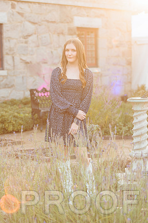 BL7A7111