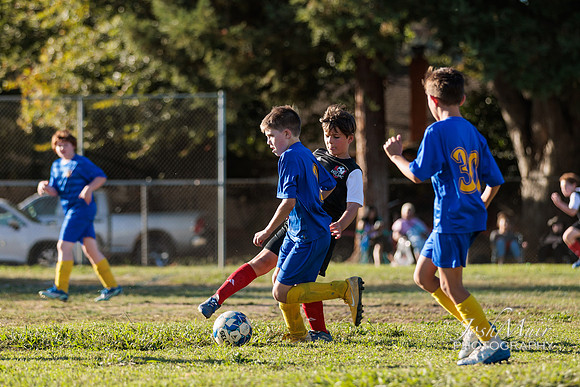 BL7A8301