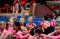 Kinley Gymnastics